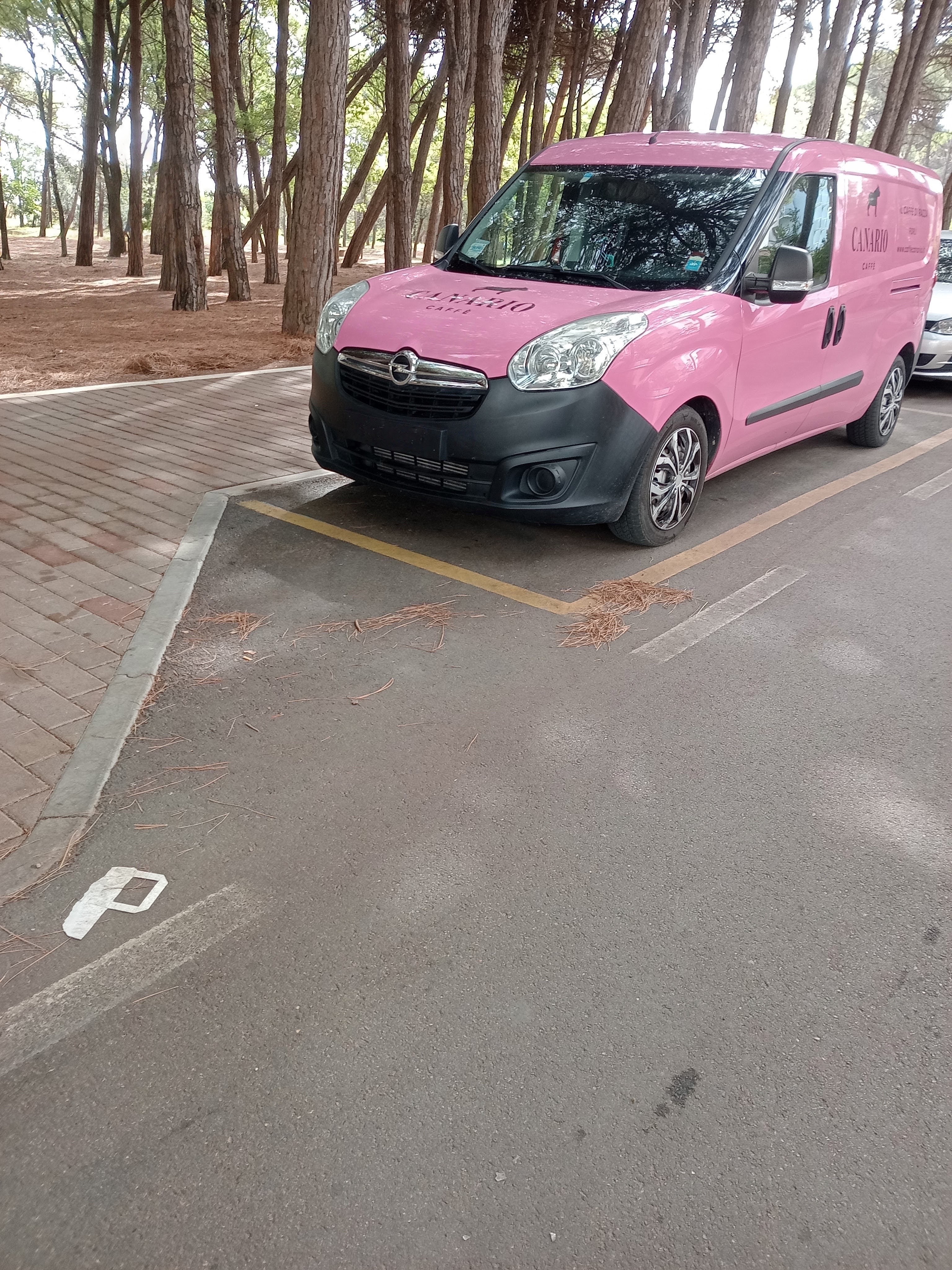 Experience about Segno o coincidenza? shared on PINKBLCK
